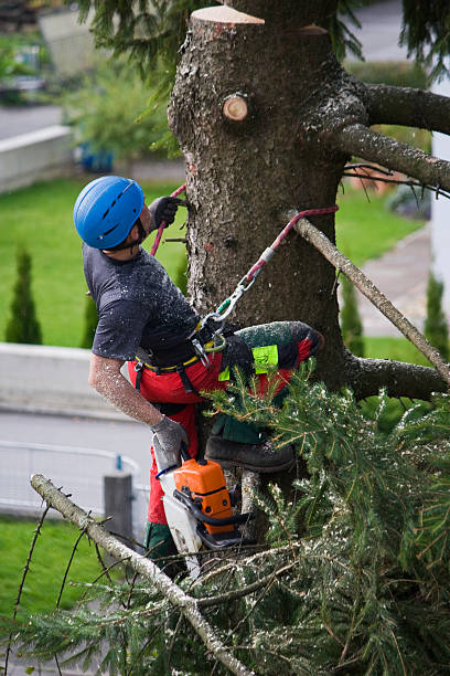 Lawn Watering Services in Desert Aire, WA